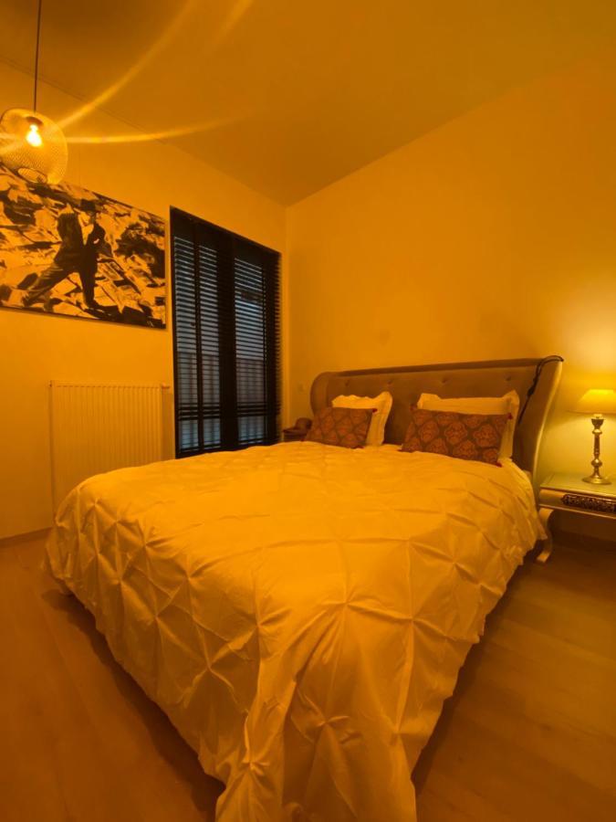 אנטוורפן B&B Art And Sleep מראה חיצוני תמונה